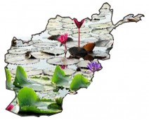 مرداب افغانستان