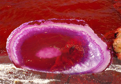 pink-chalcedony-a3ta2y-ga copy